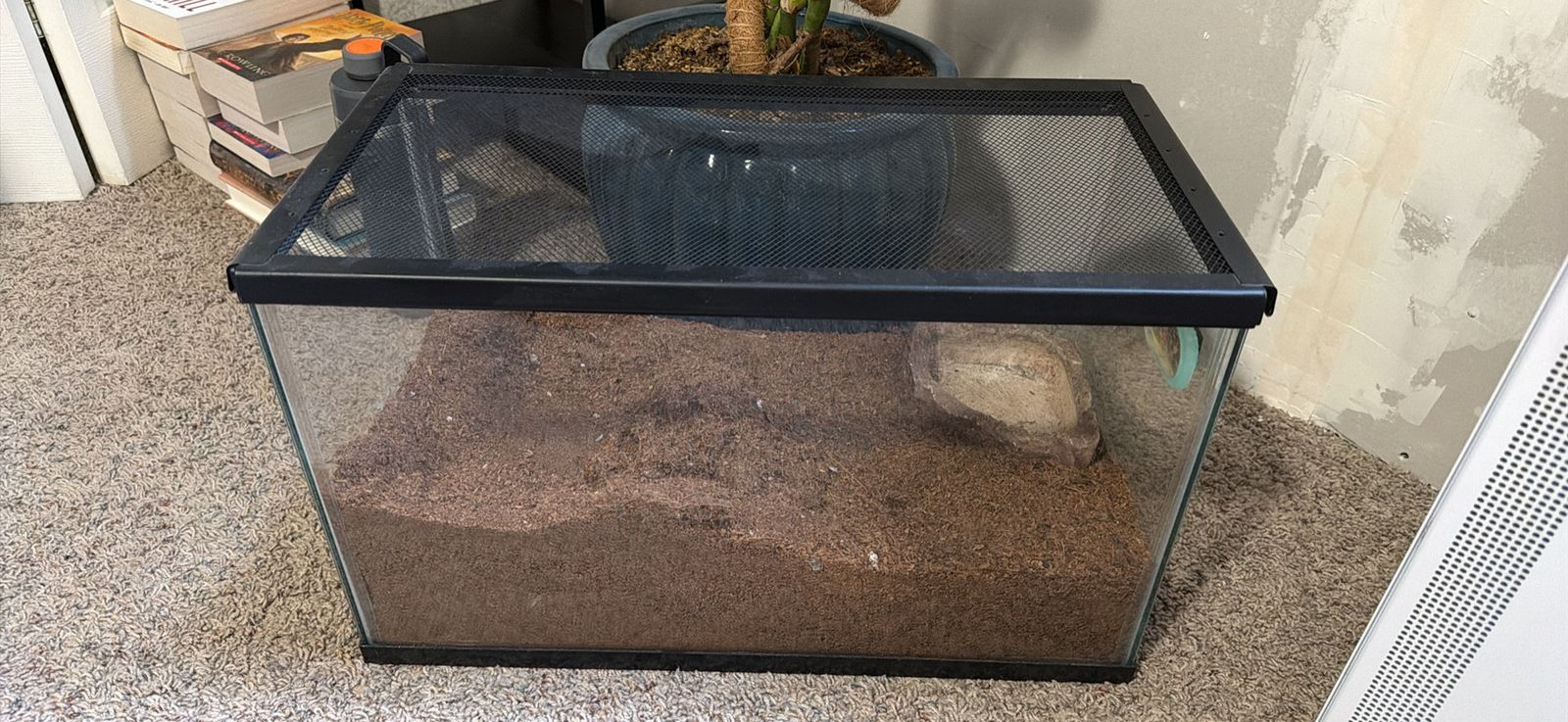 10 gallon tank