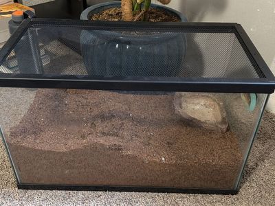 10 gallon tank