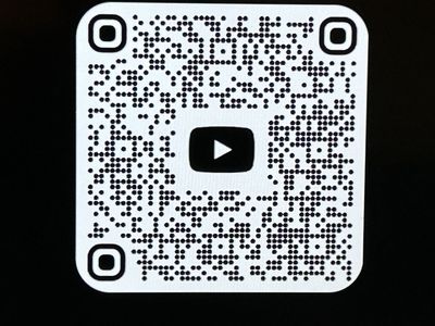 Wildcat Bumperpull 24 !