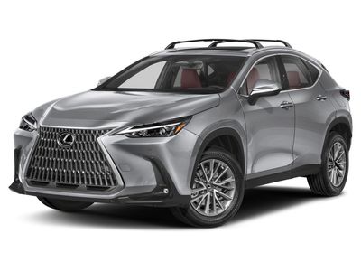 2024 Lexus NX 350 Premium