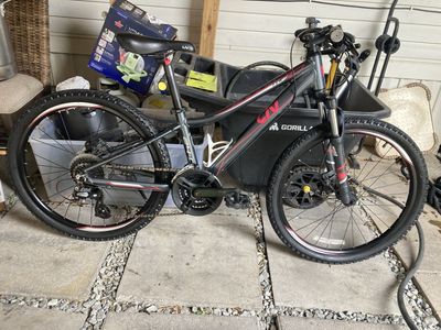 Giant liv cate 24inch kids mountian bike