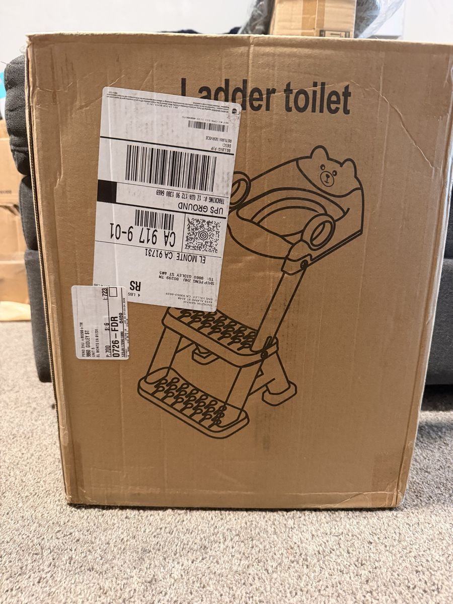 Ladder Toilet