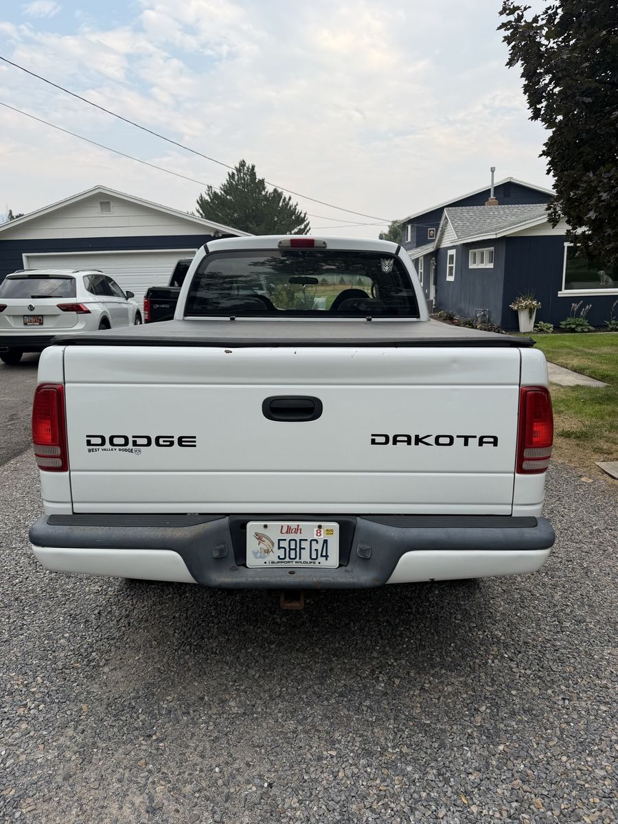 Main image 4