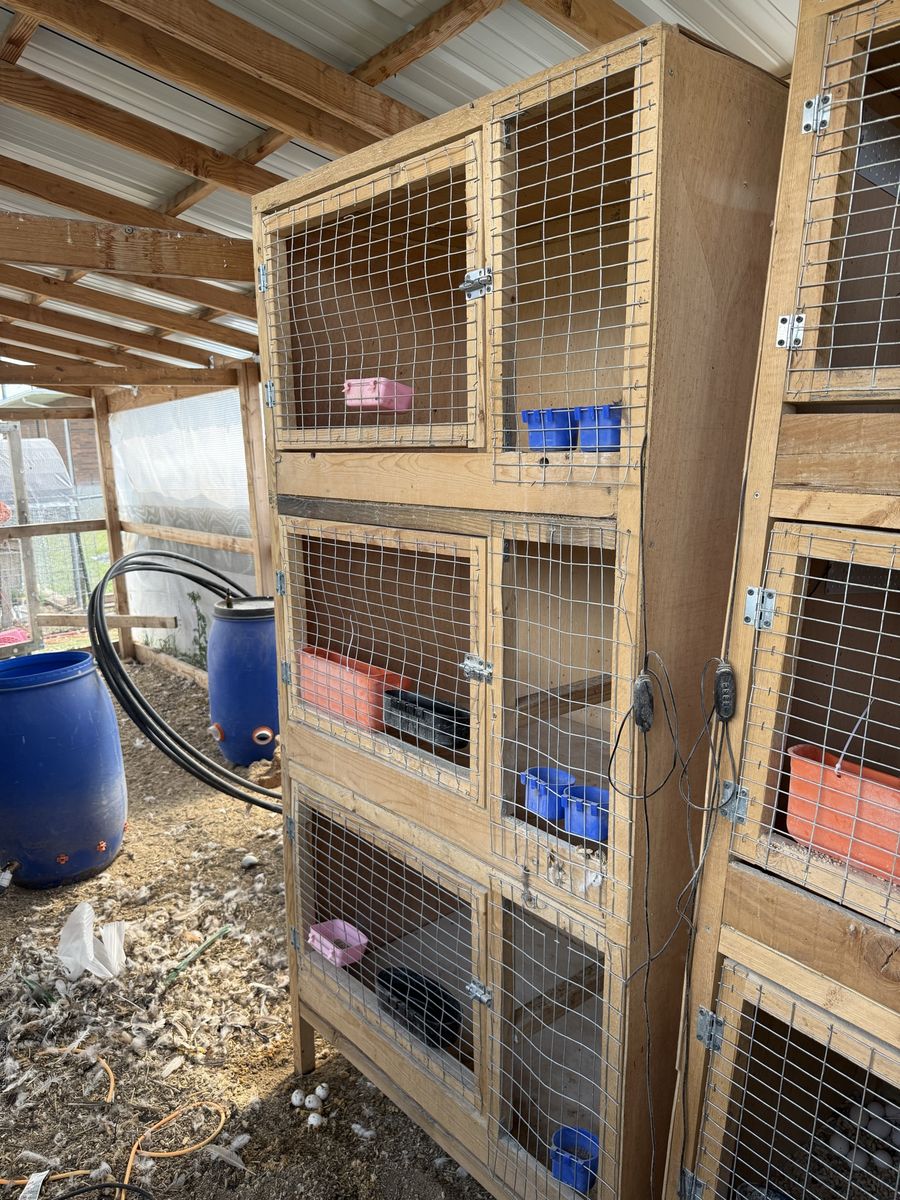 Breeding Cages/Chick brooders