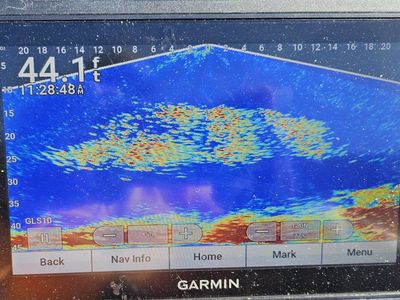 Garmin Livescope LVS 32 and Echomap Plus 73sv