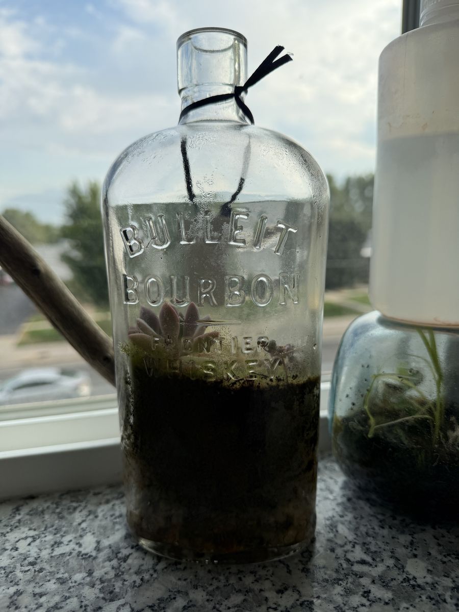 Handmade Terrarium in Repurposed Bourbon Bottle