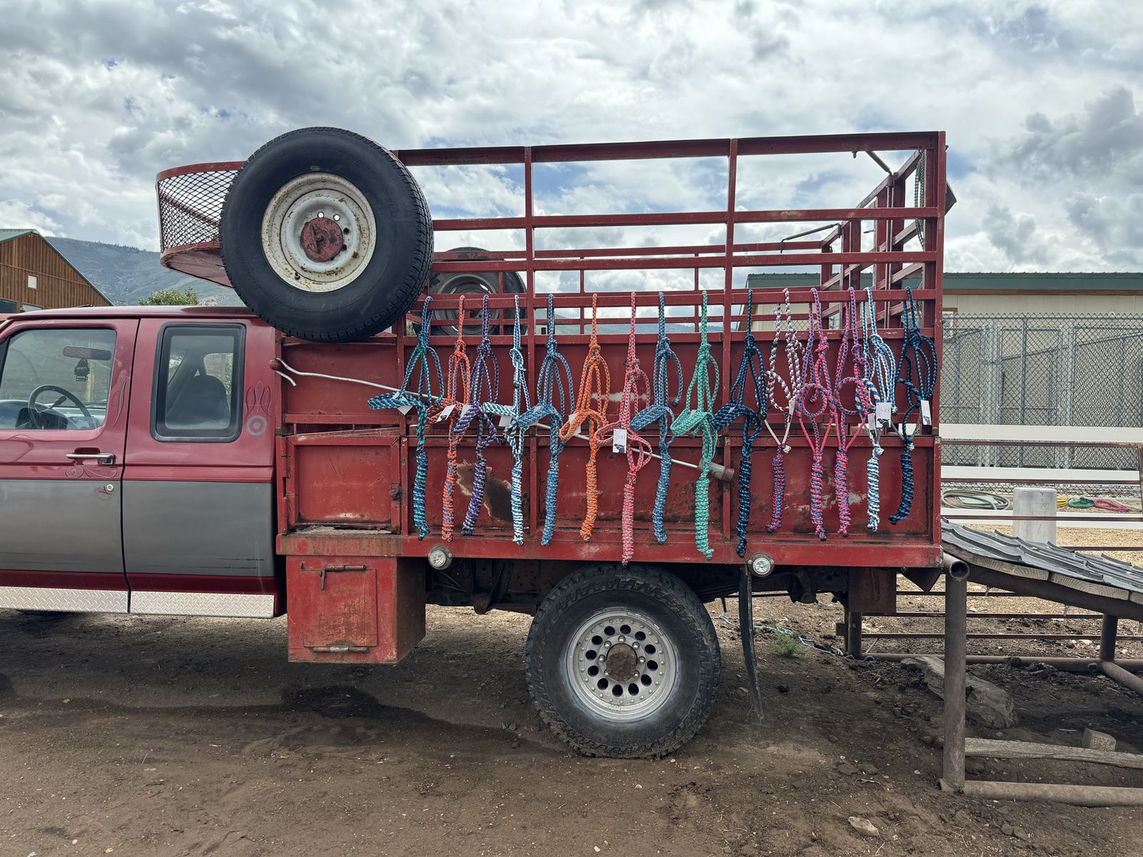 Mule tape halters