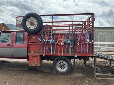 Mule tape halters