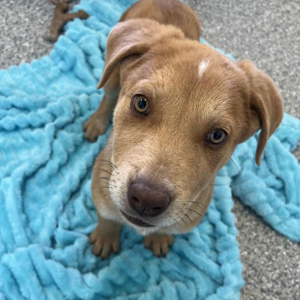 Hello my name is Aloha