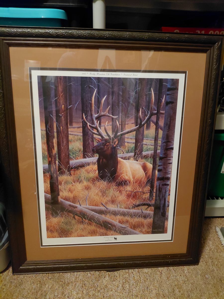 Rocky Mountain Elk foundation picture 33 inches tall 29 inches wide beautiful picture $30.00 CASH only text 385-414-9627