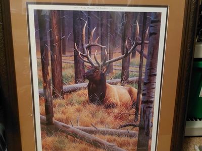 Rocky Mountain Elk foundation picture 33 inches tall 29 inches wide beautiful picture $30.00 CASH only text 385-414-9627