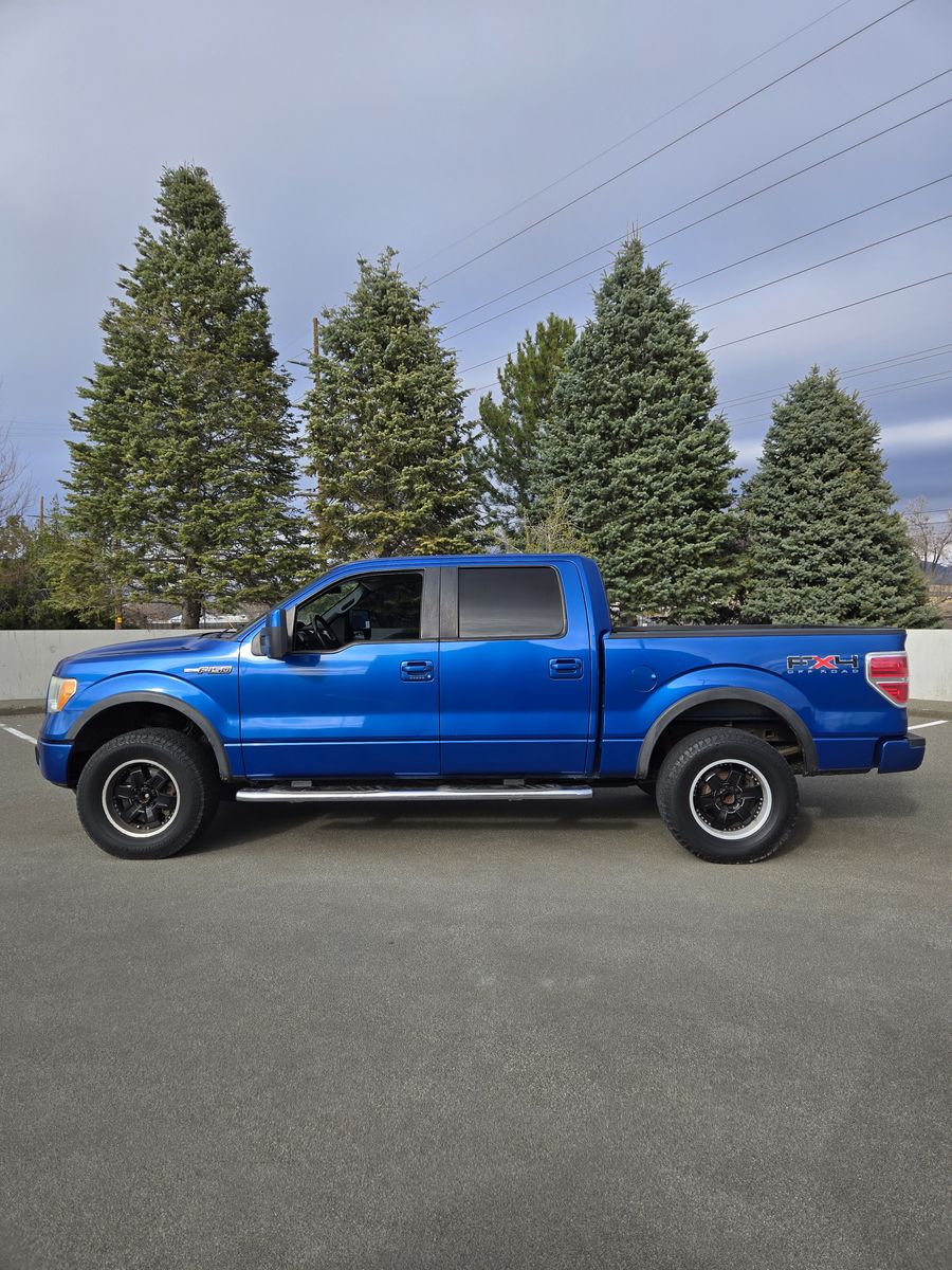 2010 Ford F-150 FX4