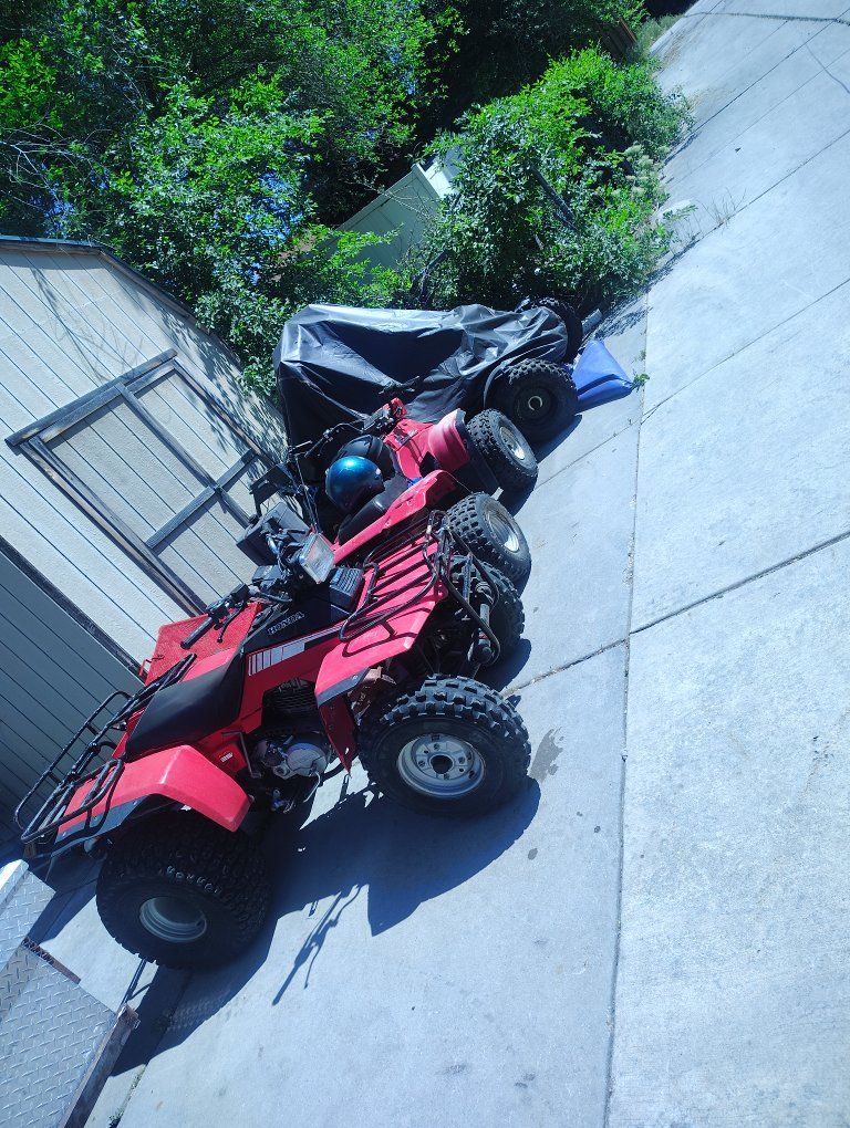 1984 Honda fourtrax 250