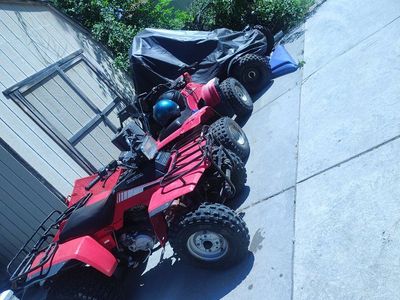1984 Honda fourtrax 250