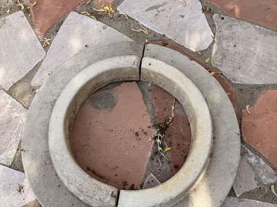 Tree concrete ring 18 “