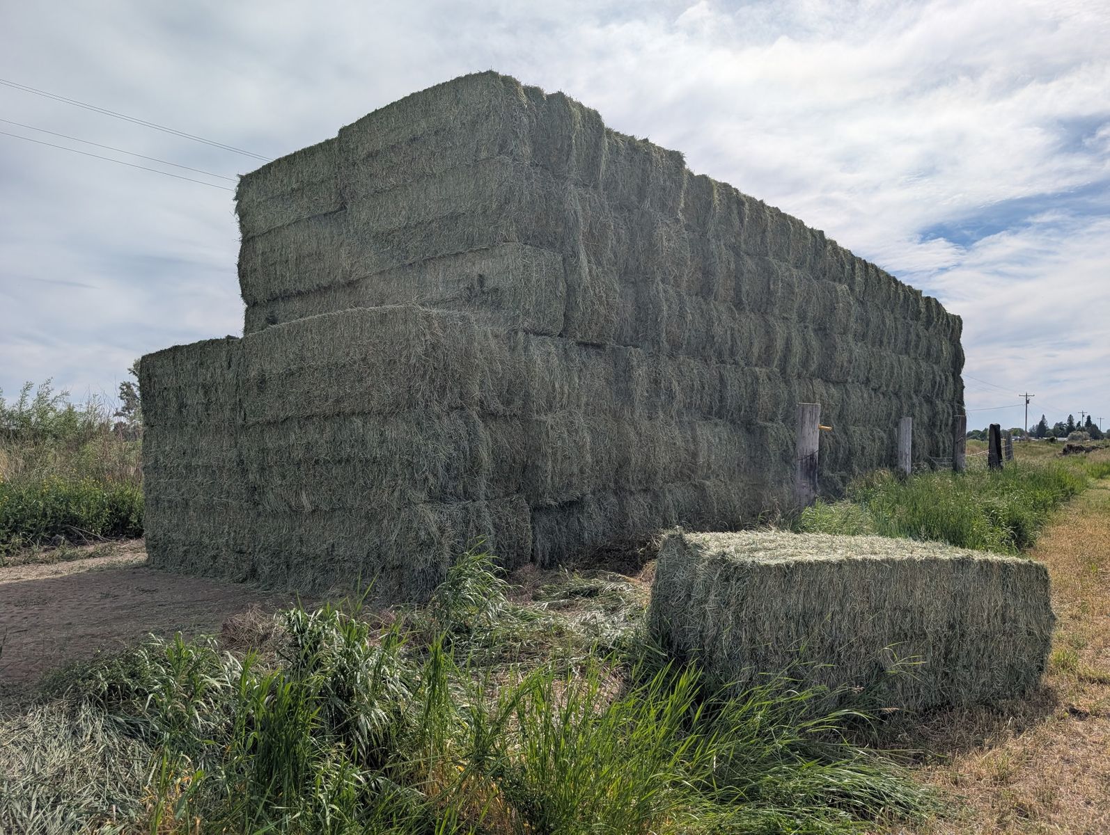 Grass Hay