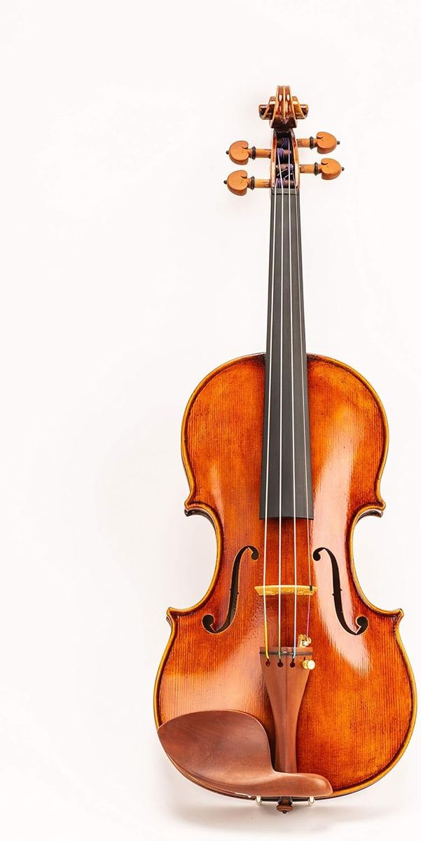 Professional Handmade DZ Strad Viola model 400 (15.5") -handmade by prize winning luthiers, Includes Case, Bows, Shoulder rest