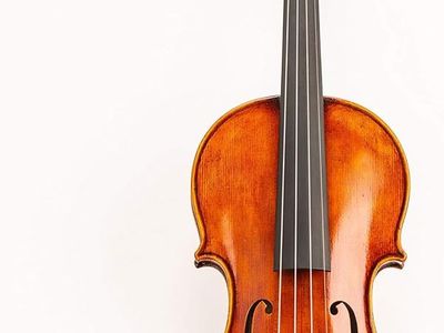 Professional Handmade DZ Strad Viola model 400 (15.5") -handmade by prize winning luthiers, Includes Case, Bows, Shoulder rest