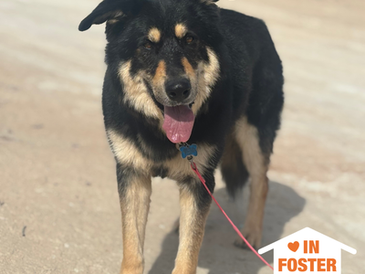 Hello my name is Gruyere