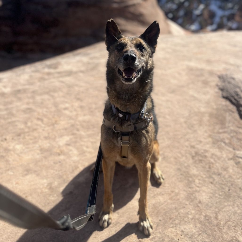 Hello my name is Soldier