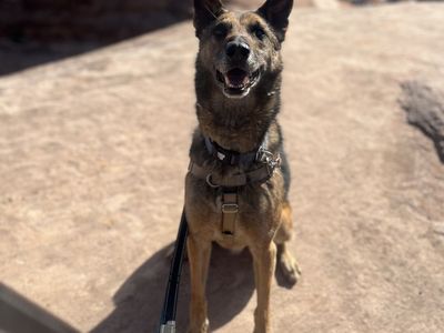 Hello my name is Soldier