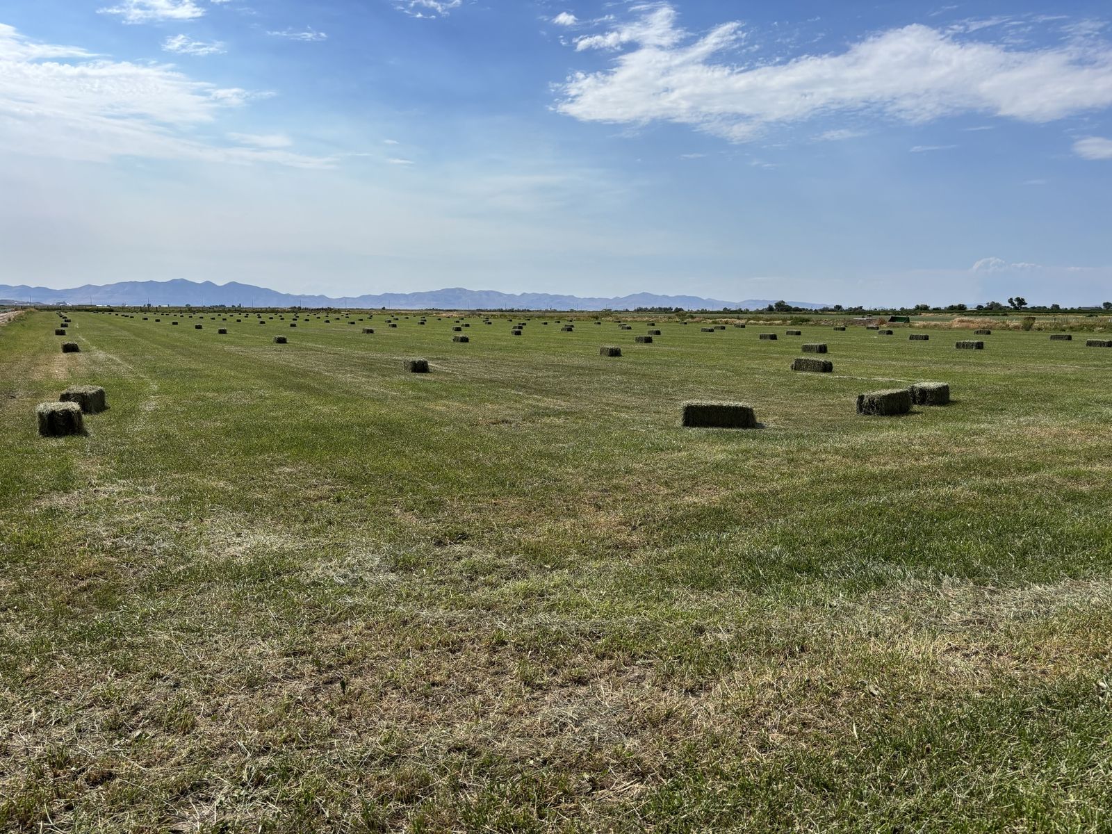 Main image 3