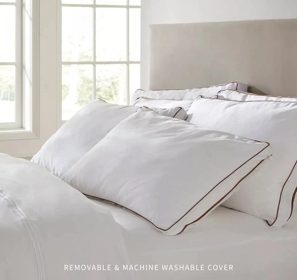 Lot Of 2 Saatva Latex Pillow Queen 18 X 28 Inches Standard Loft - Brand New