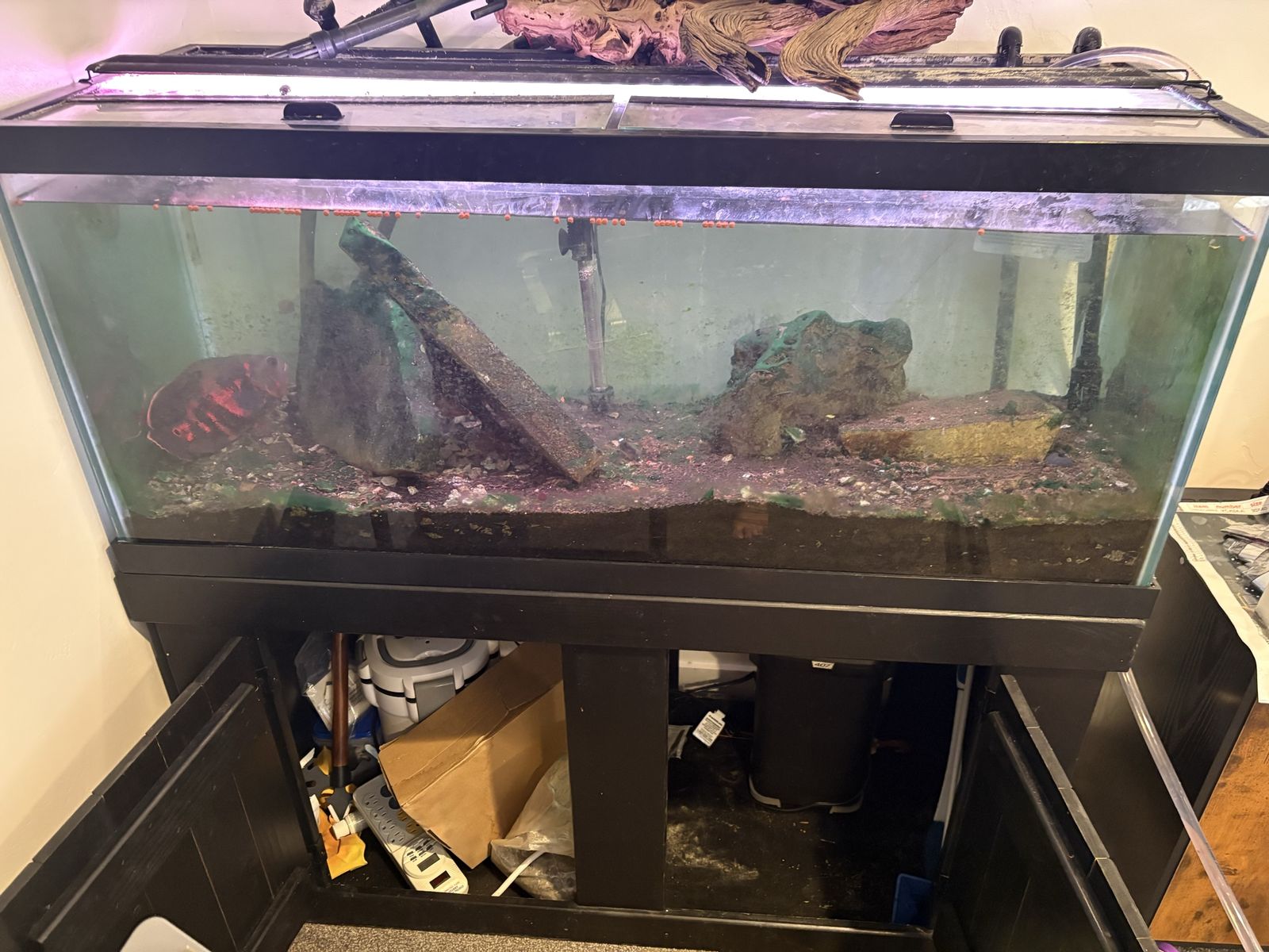 75 Gallon Fish Tank and Base Setup