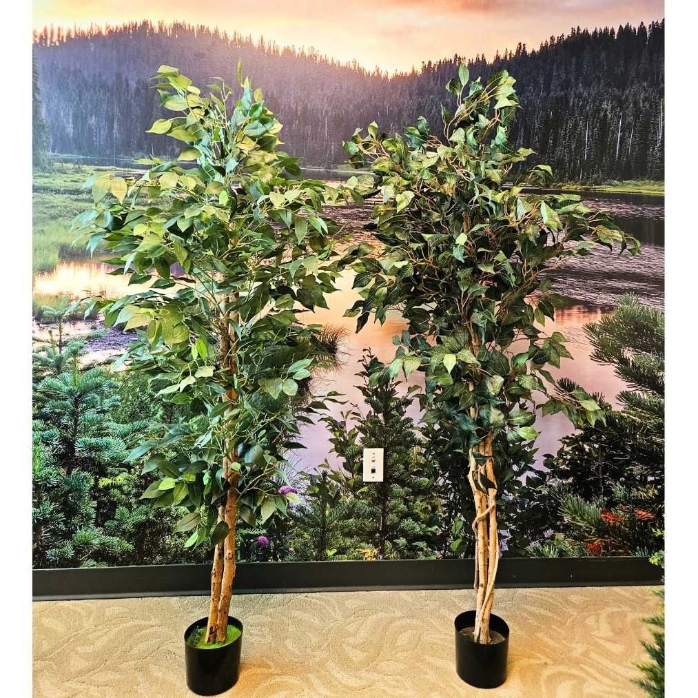 Set of 2 Lifelike Indoor Trees / Olive-Style Decorative Trees (faux / artificial)