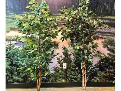 Set of 2 Lifelike Indoor Trees / Olive-Style Decorative Trees (faux / artificial)