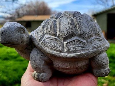 Turtle Concrete Garden Longevity sloooooow step