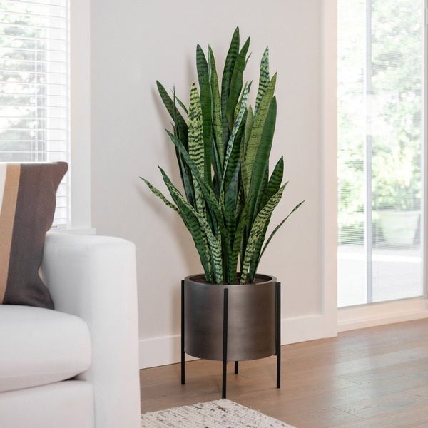Faux 53in Snake Plant with Metal Stand 1783156 #100181