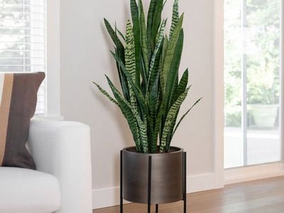 Faux 53in Snake Plant with Metal Stand 1783156 #100181