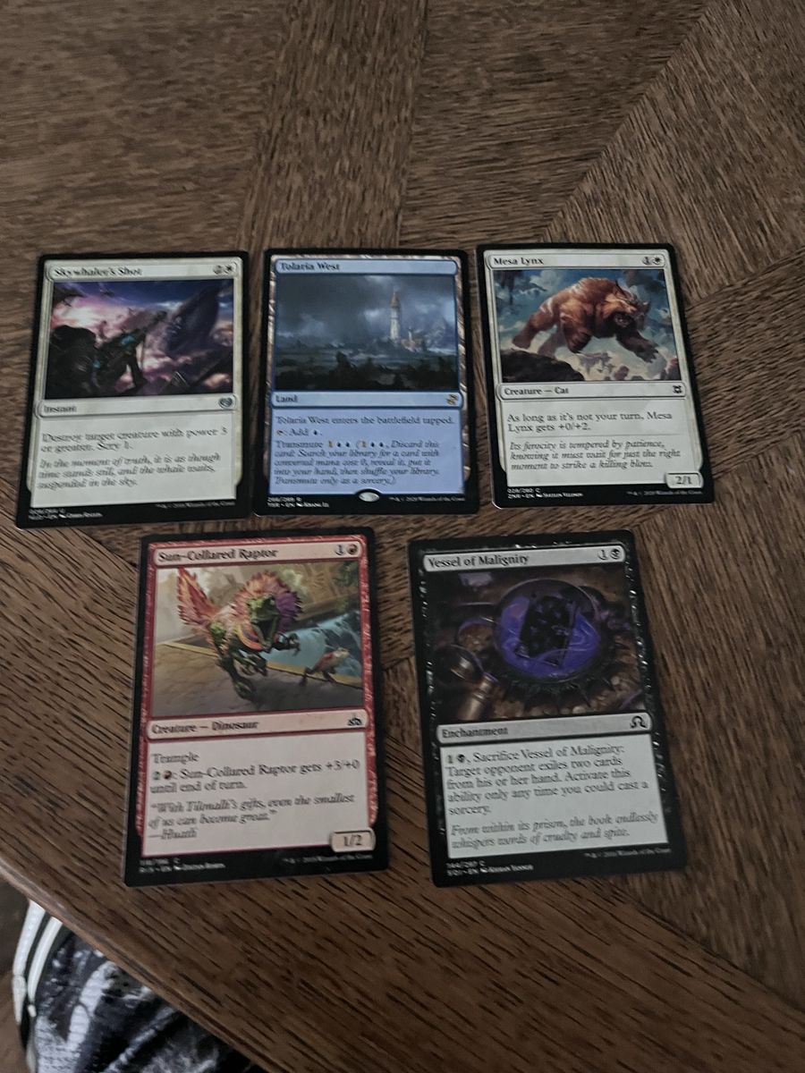 Magic The Gathering MTG 5 Card Lot - Tolaria West, Sun-Collared Raptor, Skywhaler's Shot