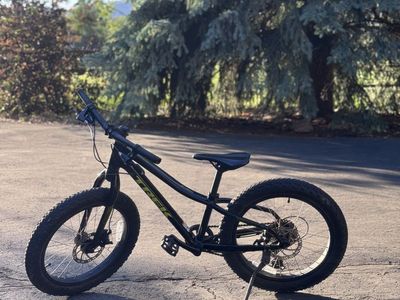 Trek Roscoe 20" Kids Mountain Bike - Excellent Mechanical Condition