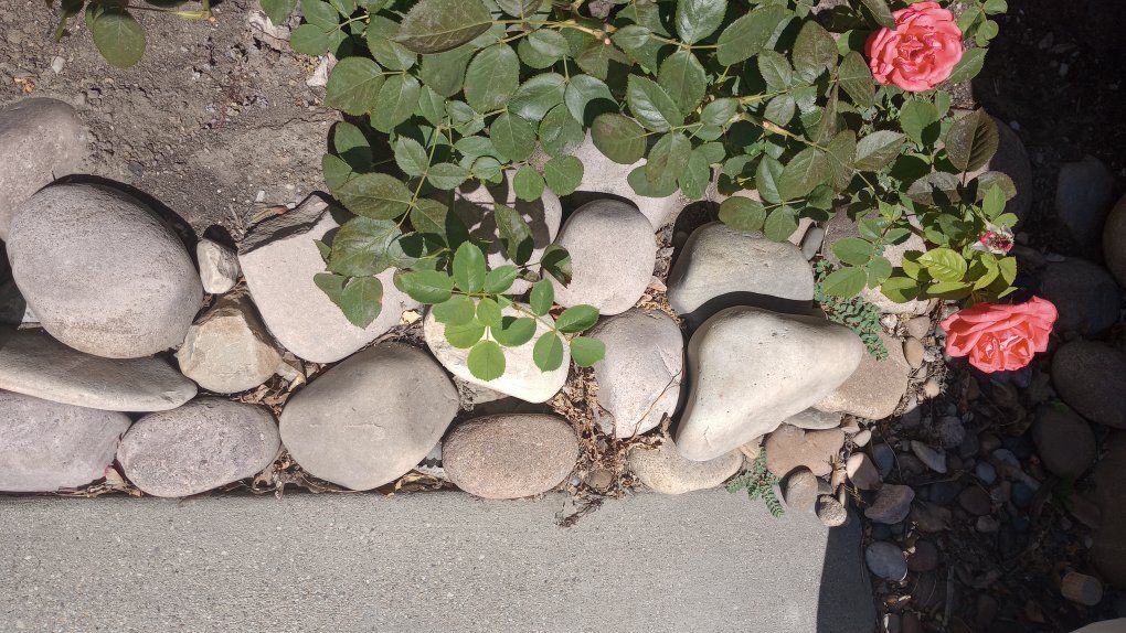 Decorative Landscape Rocks, Various Sizes & Colors, Garden Edging/Ground Cover
