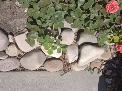Decorative Landscape Rocks, Various Sizes & Colors, Garden Edging/Ground Cover