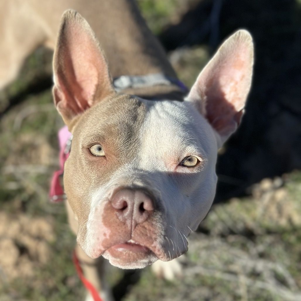 Hello my name is Babe