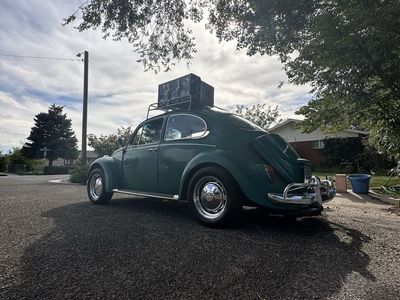 1967 Volkswagen Beetle