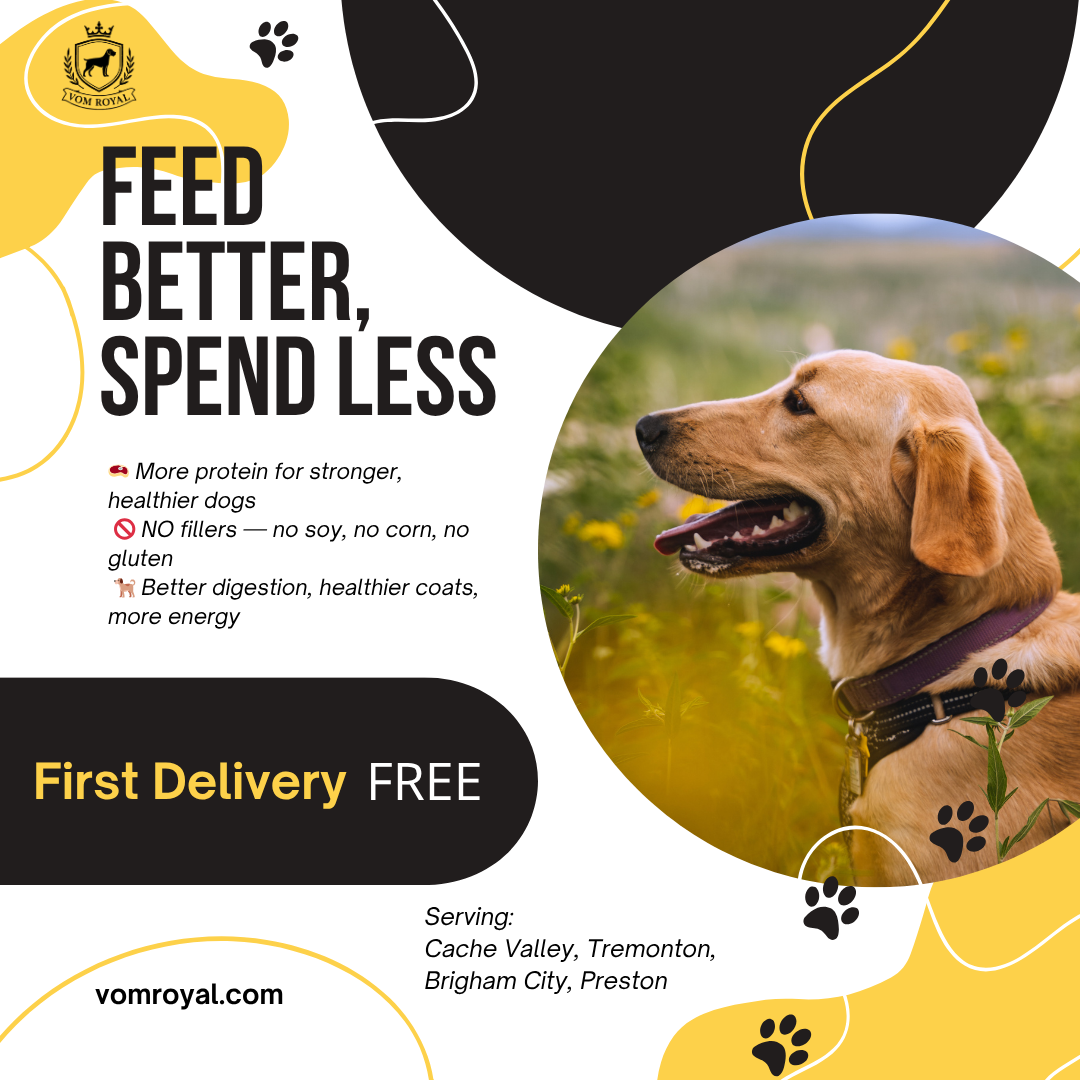 High-Protein Dog Food – 50lb $50 | NO Fillers + FREE First Delivery