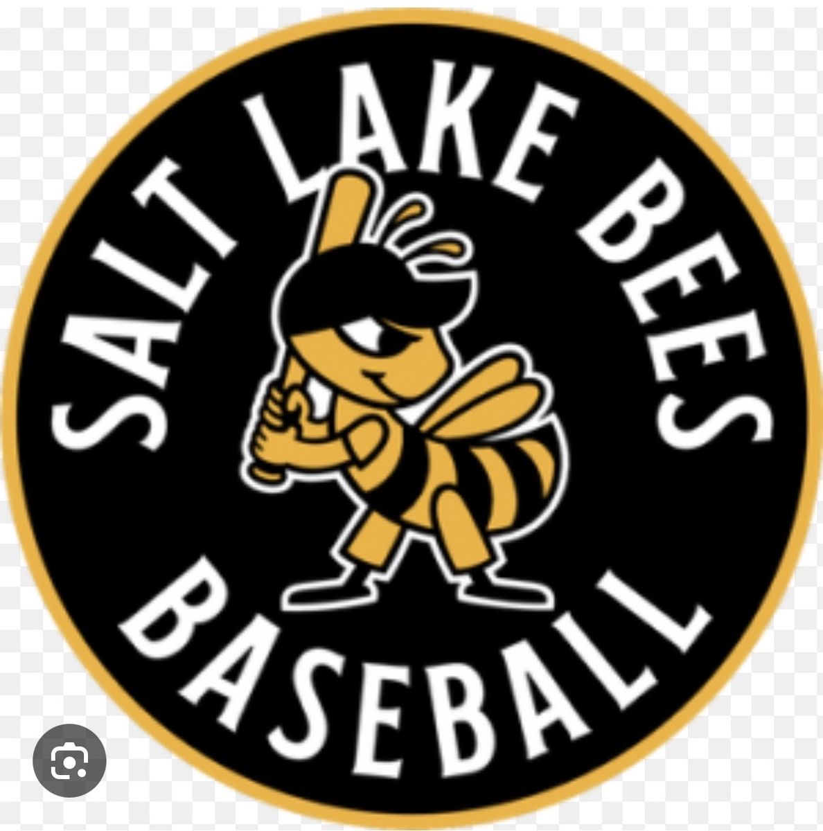 SL Bees Baseball Game