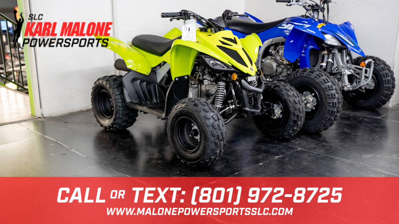2026 YAMAHA Raptor 110 - Y16895
