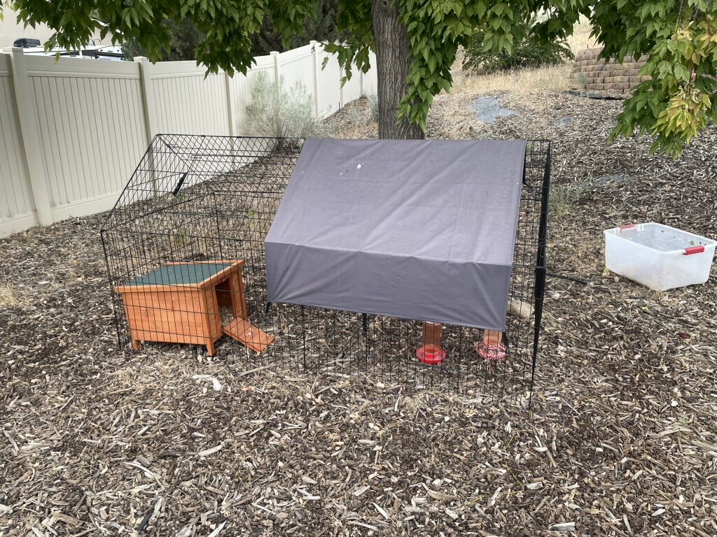 Small Animal Enclosure