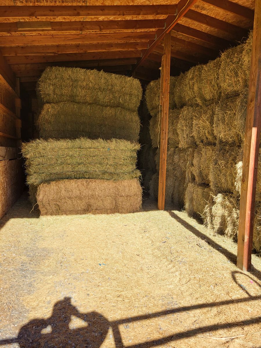 Grass hay