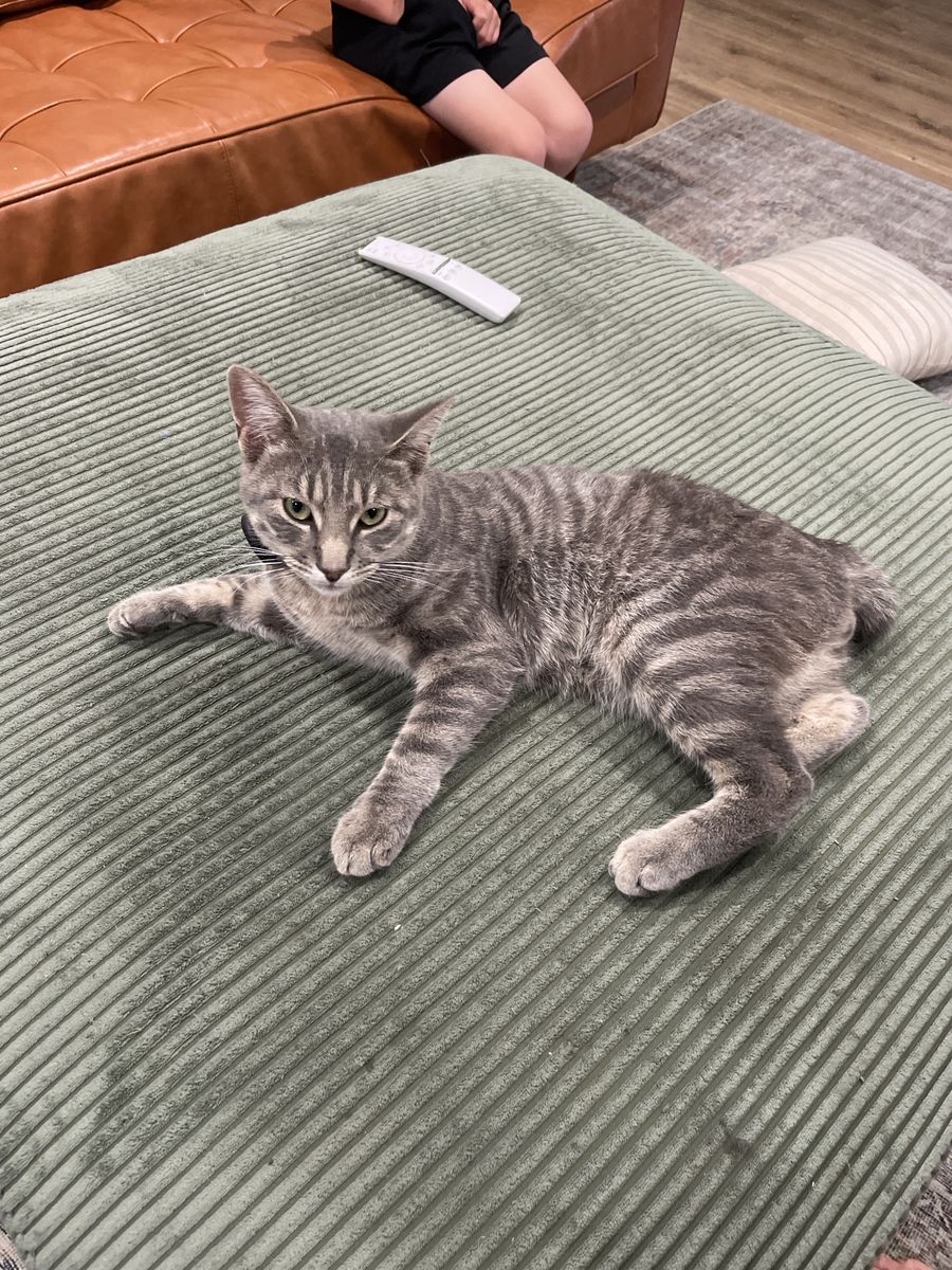 $2,000 Reward!