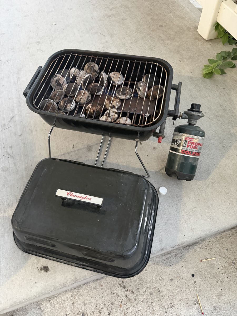Charmglow Portable Tabletop Propane Gas Grill with Lid