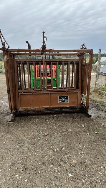 Cattle squeeze chute