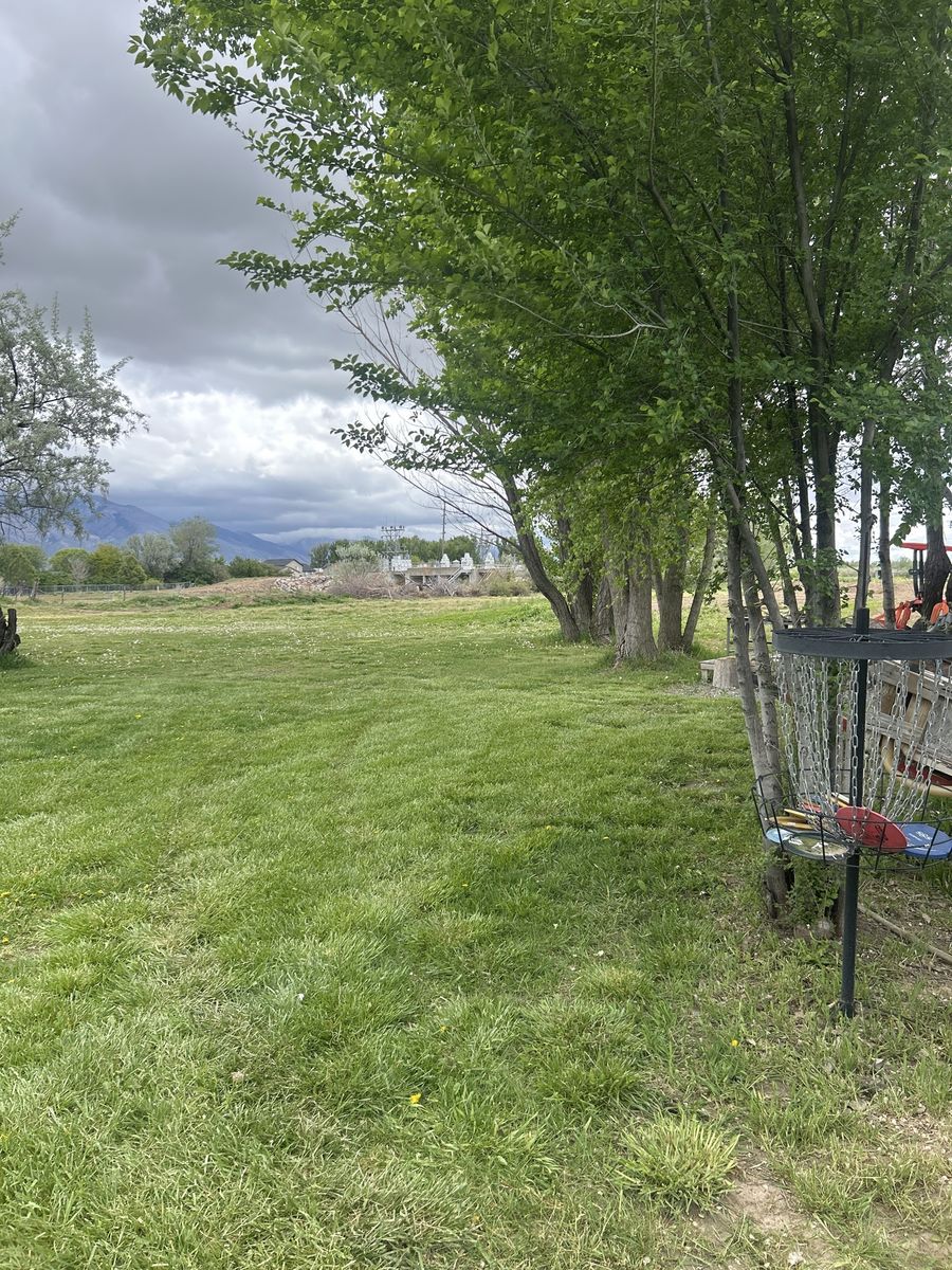 We need CLEAN DIRT OR SOD