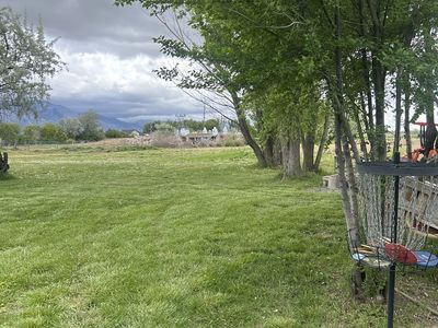 We need CLEAN DIRT OR SOD