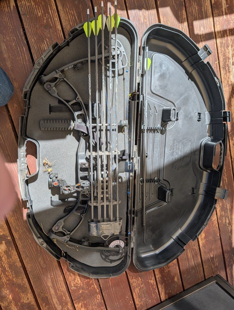 quest AMP archery bow